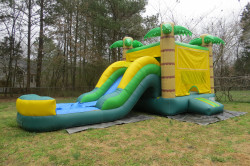 Tropical Horizon Bounce House Combo- Dry